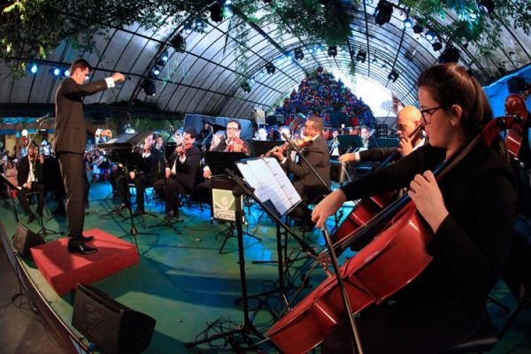 concerto natal luz